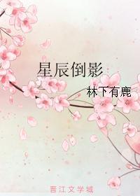 星辰倒影封面