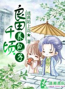 良田千顷养包子封面