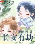 长安有劫封面
