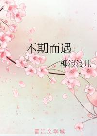 不期而遇封面