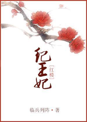 [红楼]纪王妃封面