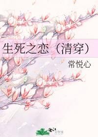 生死之恋（清穿）封面