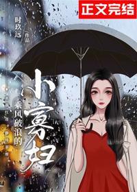 乘风破浪的小寡妇封面