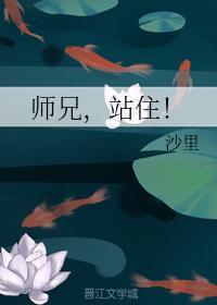 师兄，站住！封面