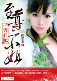 一等狂妃，至尊三小姐封面