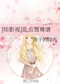[综影视]乱点鸳鸯谱封面