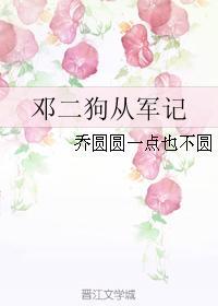 邓二狗从军记封面