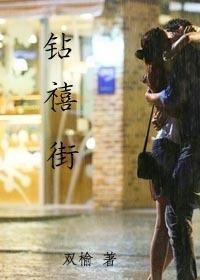 钻禧街封面
