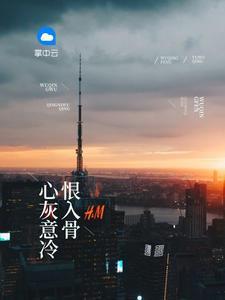 夏忆沈墨寒封面