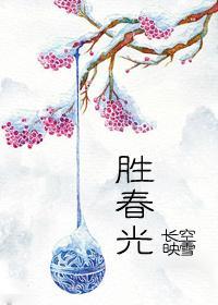 胜春光封面
