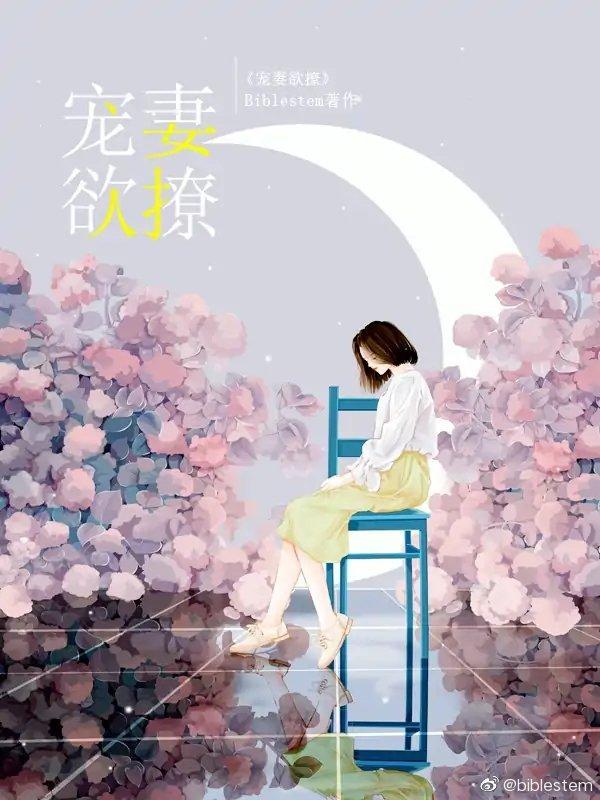 宠妻欲撩封面