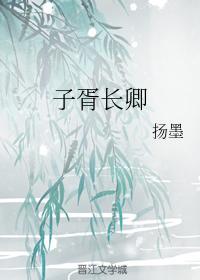 子胥长卿封面
