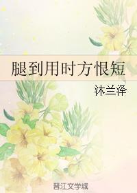 腿到用时方恨短封面