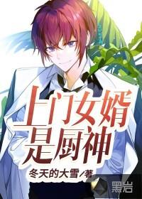 上门女婿是厨神封面