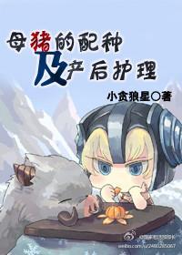 母猪的配种及产后护理封面