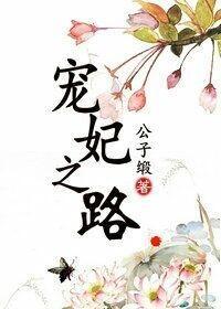 宠妃之路封面