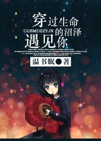 穿过生命的沼泽遇见你封面