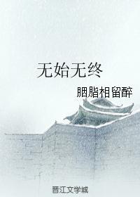 无始无终封面