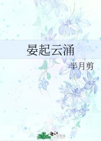 晏起云涌封面