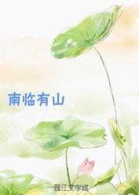 南临有山封面
