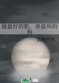 做最好的影，养最帅的狗封面