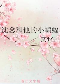 沈念和他的小蝙蝠封面