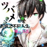 系统之不同人生封面