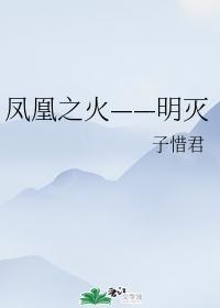 凤凰之火——明灭封面