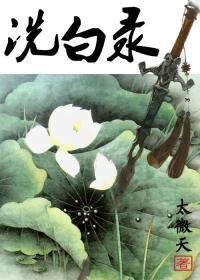 洗白录封面