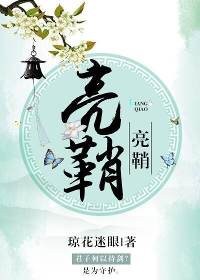 亮鞘封面