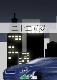 二十二五岁封面