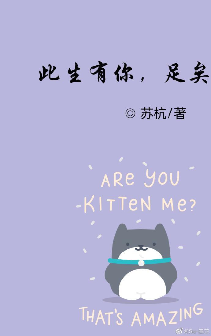 此生有你足矣封面