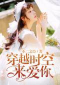 穿越时空来爱你封面