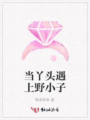 当丫头遇上野小子封面