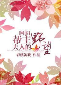 [网游]帮主夫人的野望封面