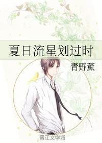 夏日流星划过时封面