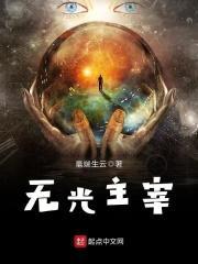 无光主宰封面