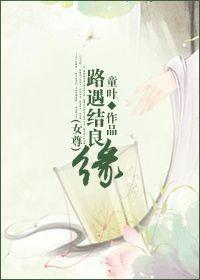 路遇结良缘（女尊）封面