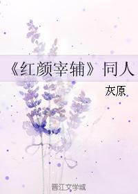 红颜宰辅封面