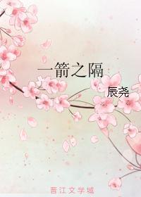 一箭之隔封面