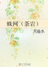 蛛网（荼岩）封面