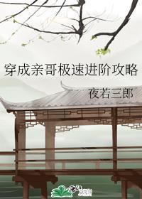 穿成亲哥极速进阶攻略封面