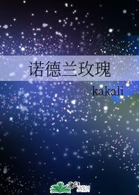 诺德兰玫瑰封面