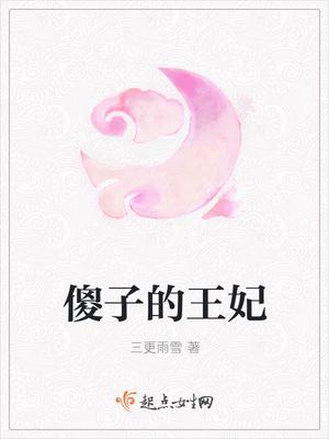 北辰风苏婉央封面