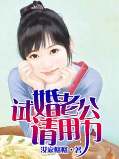 试婚老公请用力封面