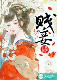 贱妾封面