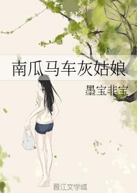 南瓜马车灰姑娘封面