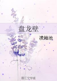盘龙壁封面