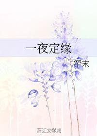一夜定缘封面