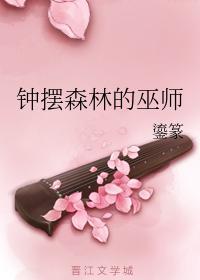 钟摆森林的巫师封面